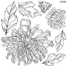 Chrysanthemums Décor Stamp - Iron Orchid Designs