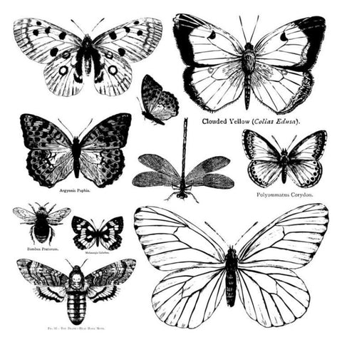 Butterflies Décor Stamp - Iron Orchid Designs