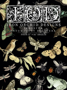 Entomology Etcetera Decor Transfer - Iron Orchid Designs