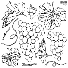Grapes Décor Stamp - Iron Orchid Designs