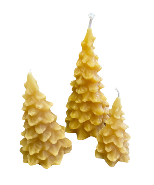 Beeswax Candle Set - Spruce Tree - 100% beeswax