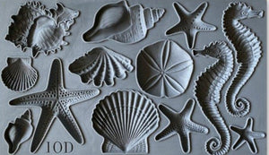 Sea Shells Decor Mould - Iron Orchid Designs